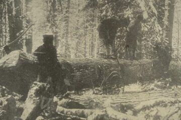 „Țapinarii sînt la lucru”