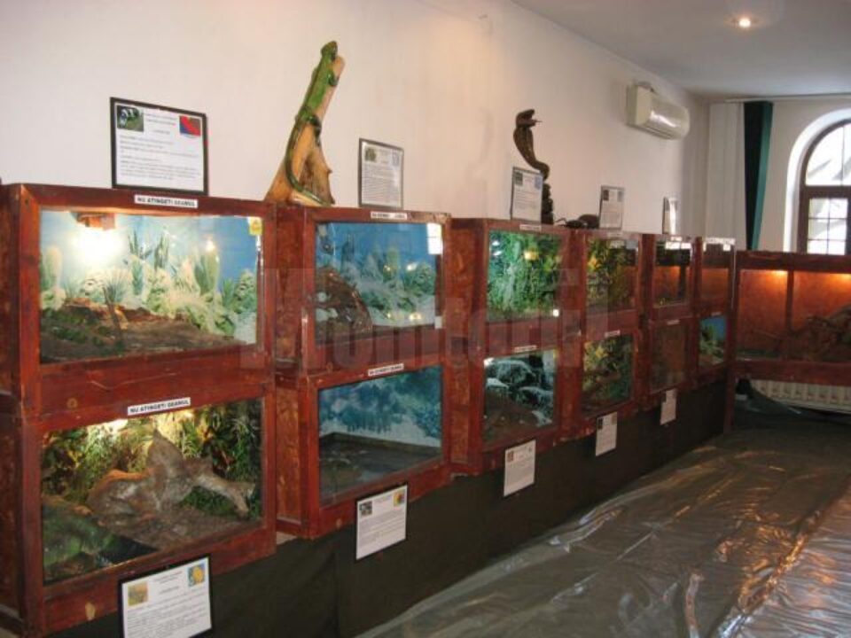 Expoziție de reptile la Muzeul de Științele Naturii Suceava