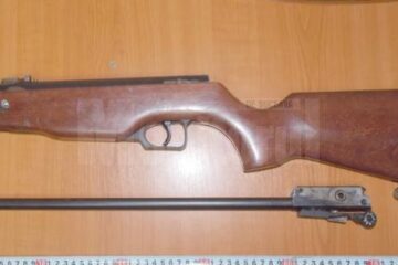 Armă de vânătoare