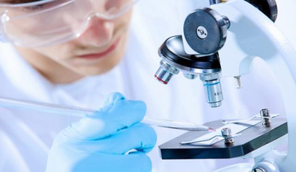 Oamenii de știință au reușit să trimită nanomotoare în celule umane vii