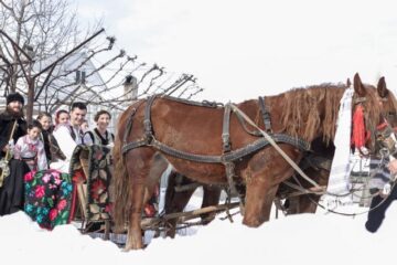 Au înlocuit limuzina cu sania trasă de cai. Foto: Codrin ANTON