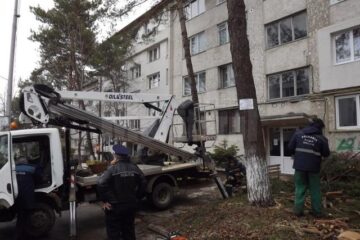 Polițiștii cu lemnele tăiate