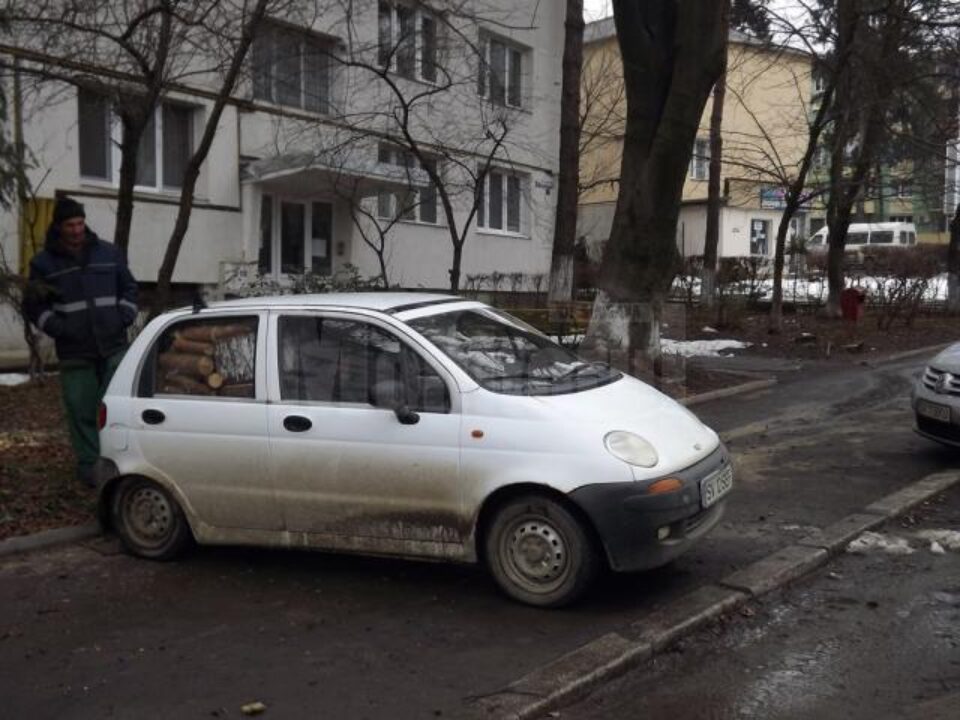 Matiz ticsit cu lemnele din copacii tăiați