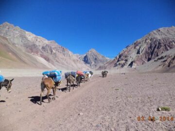 Trei suceveni pe Aconcagua, cel mai înalt vârf de pe continentele americane