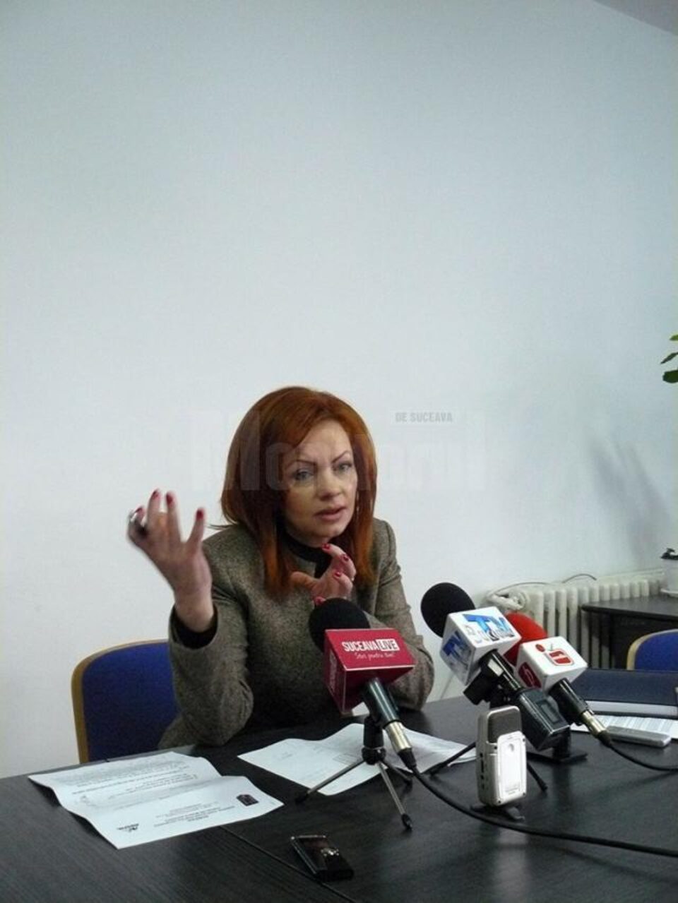 Mirela Adomnicăi, directorul executiv al AJOFM Suceava, a declarat că o astfel de bursă este o premieră în județ