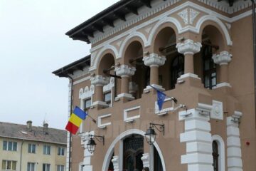 Vizitatorii stau la rând la Muzeul Ion Irimescu