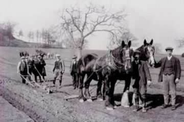 „Muncile agricole de primăvară”