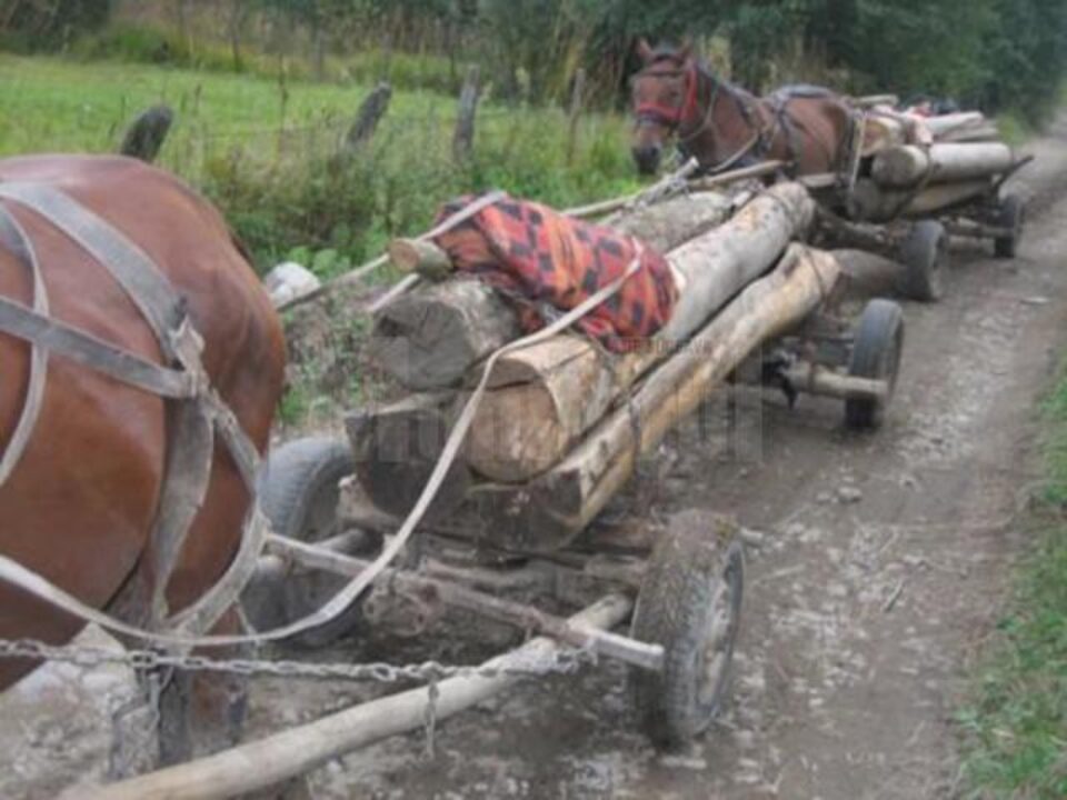 „Roadele hărniciei”