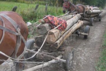 „Roadele hărniciei”