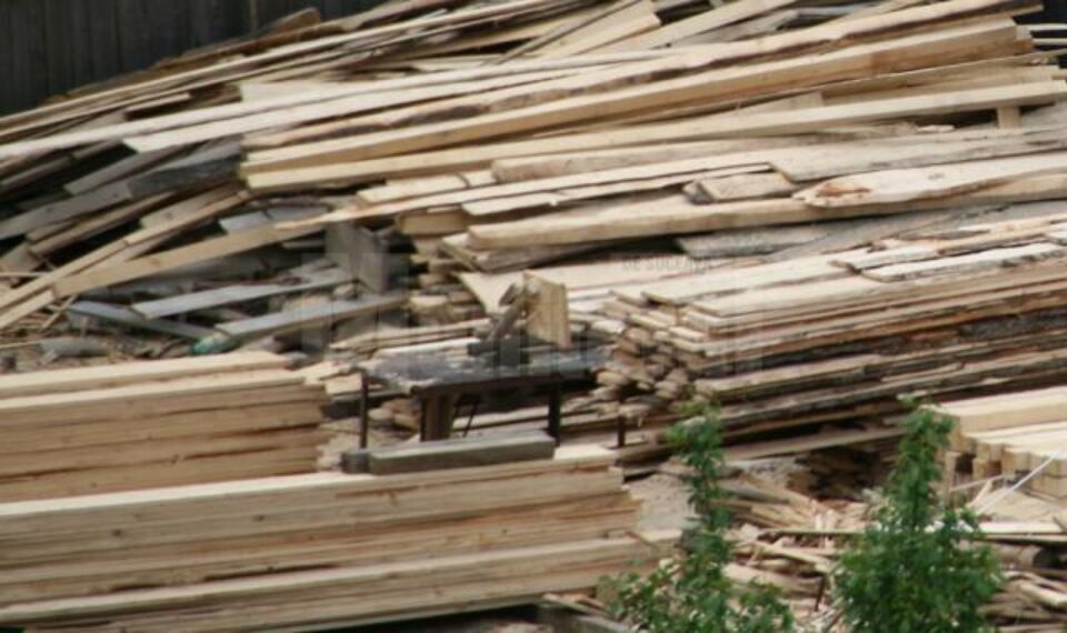 Control pe linia prevenirii și combaterii tăierilor ilegale de arbori, a furtului, prelucrării, transportului și comercializării ilegale a materialului lemnos