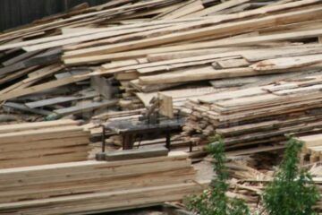 Control pe linia prevenirii și combaterii tăierilor ilegale de arbori, a furtului, prelucrării, transportului și comercializării ilegale a materialului lemnos