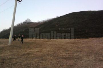 Incendiu de vegetație uscată