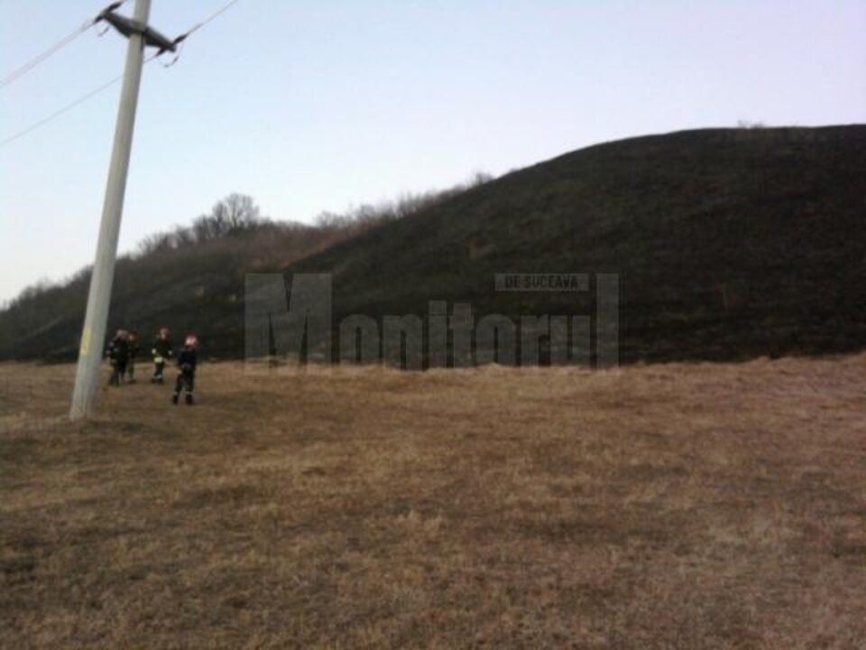 Incendiu de vegetație uscată