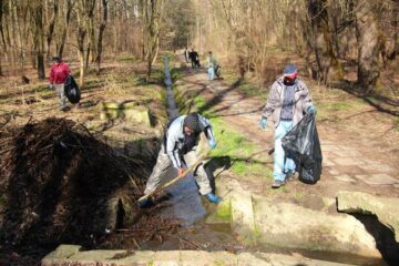 Silvicultorii s-au mobilizat pentru a face curat în cel mai mare spațiu verde din municipiul Suceava