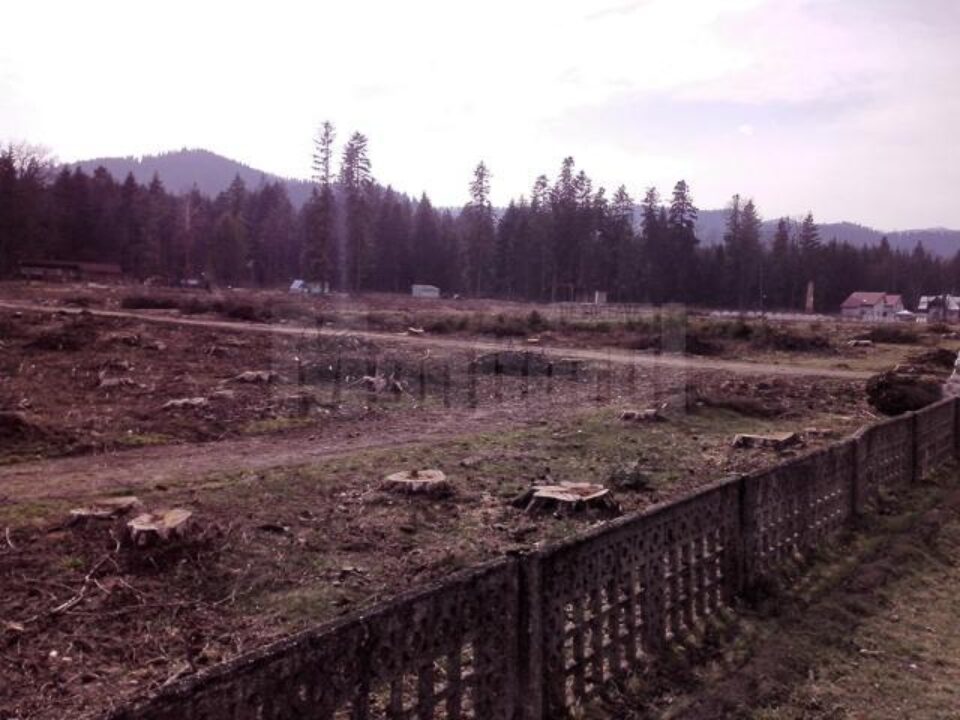 Fostul parc, o imagine dezolantă