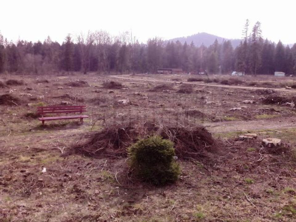 Fostul parc, o imagine dezolantă