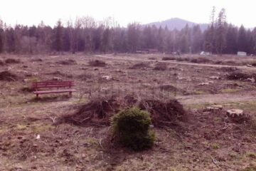 Fostul parc, o imagine dezolantă