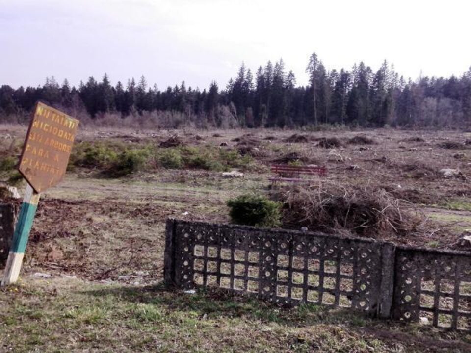 Fostul parc, o imagine dezolantă