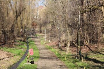 Parcul Șipote, după acțiunea de curățenie a Direcției Silvice Suceava