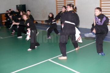 Rezultate bune pentru practicanții Qwan Ki Do la Campionatul Național pentru Juniori și Seniori