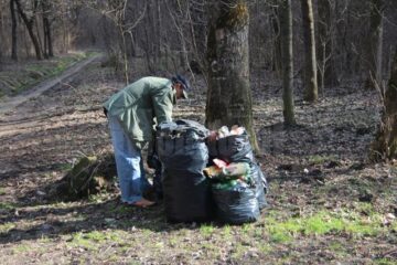 Mormane de PET-uri, ambalaje și alte gunoaie, adunate de pe aleile parcului Șipote