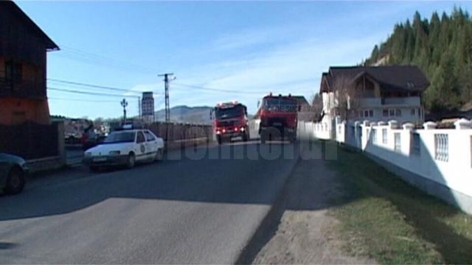 11 autospeciale, pădurari și localnici cu ATV-uri și motociclete au scotocit pădurile