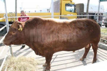 Zeci de standuri și abundență de produse tradiționale, la târgul de agricultură și industrie alimentară