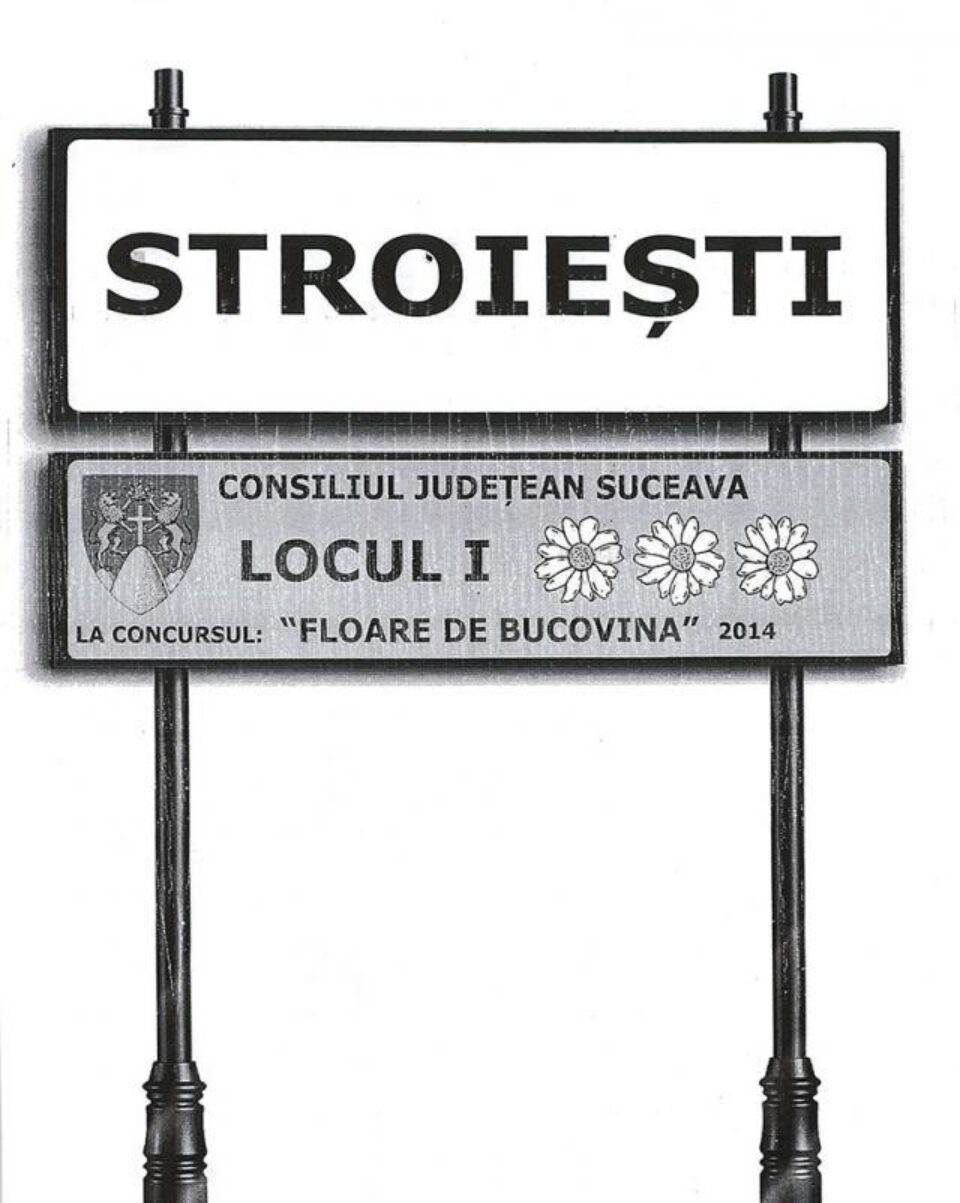 Panou la concursul "Floare de Bucovina" 2014