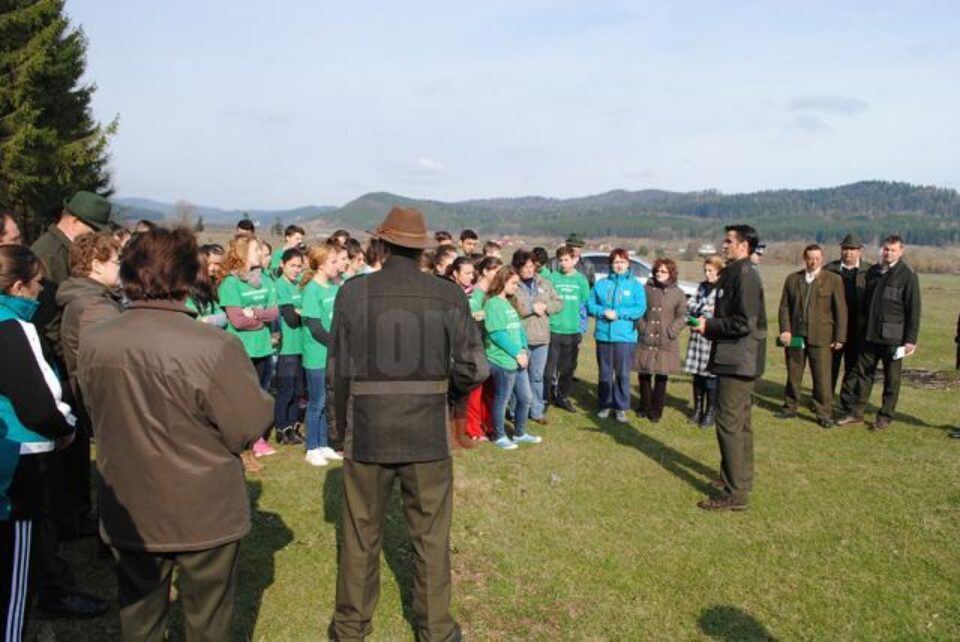 Acțiune de plantare de puieți de brad și molid, pe raza Ocolului Silvic Râșca