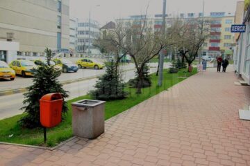 La scurt timp după reamplasarea coșurilor, hârtiile au reapărut în spațiul verde