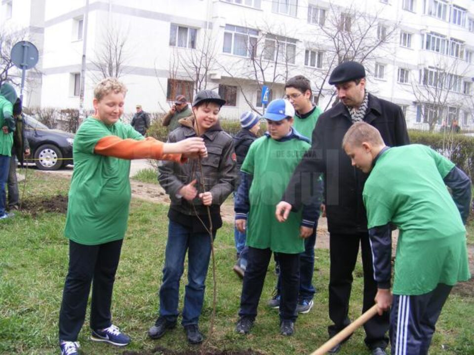 Elevi ai Școlii Gimnaziale nr. 4 Suceava au plantat puieți în cadrul unei acțiuni ecologice