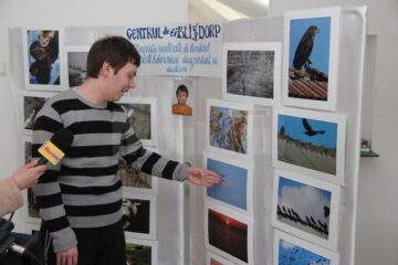Concurs de cros la Complexul Blijdorp Suceava