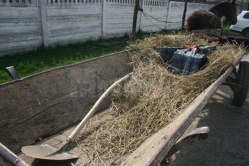 În atelajul hipo erau 1.290 de pachete cu țigări de proveniență ucraineană