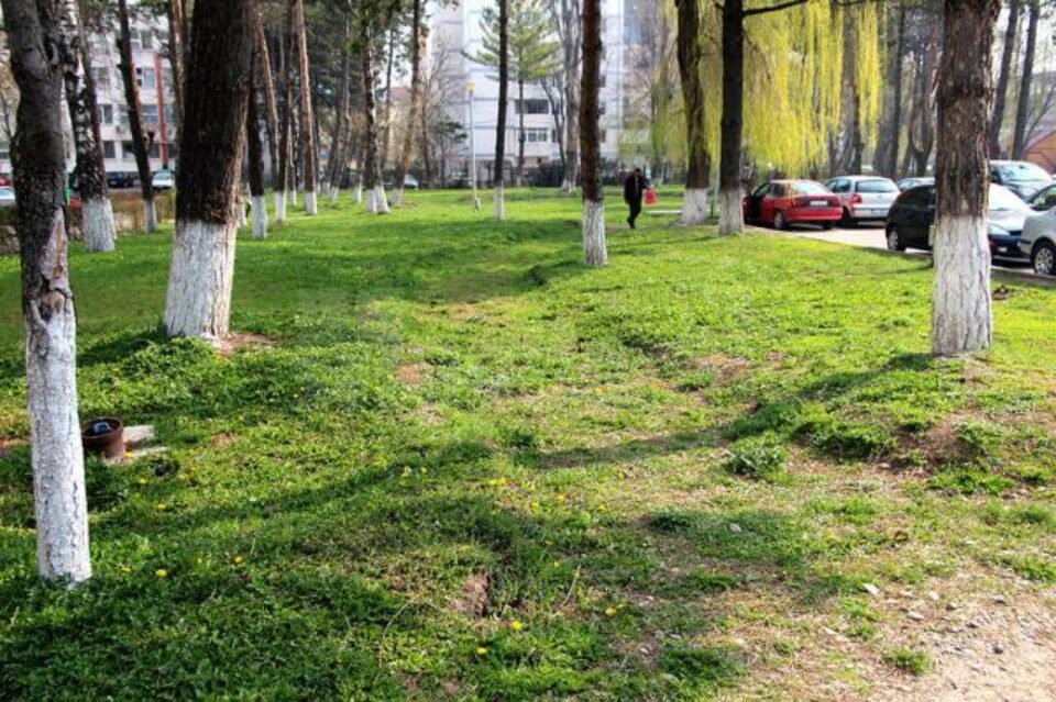 Pe aici ar fi trebuit să treacă aleile pavate cu piatră cubică, în parcul din fața Spitalului Județean
