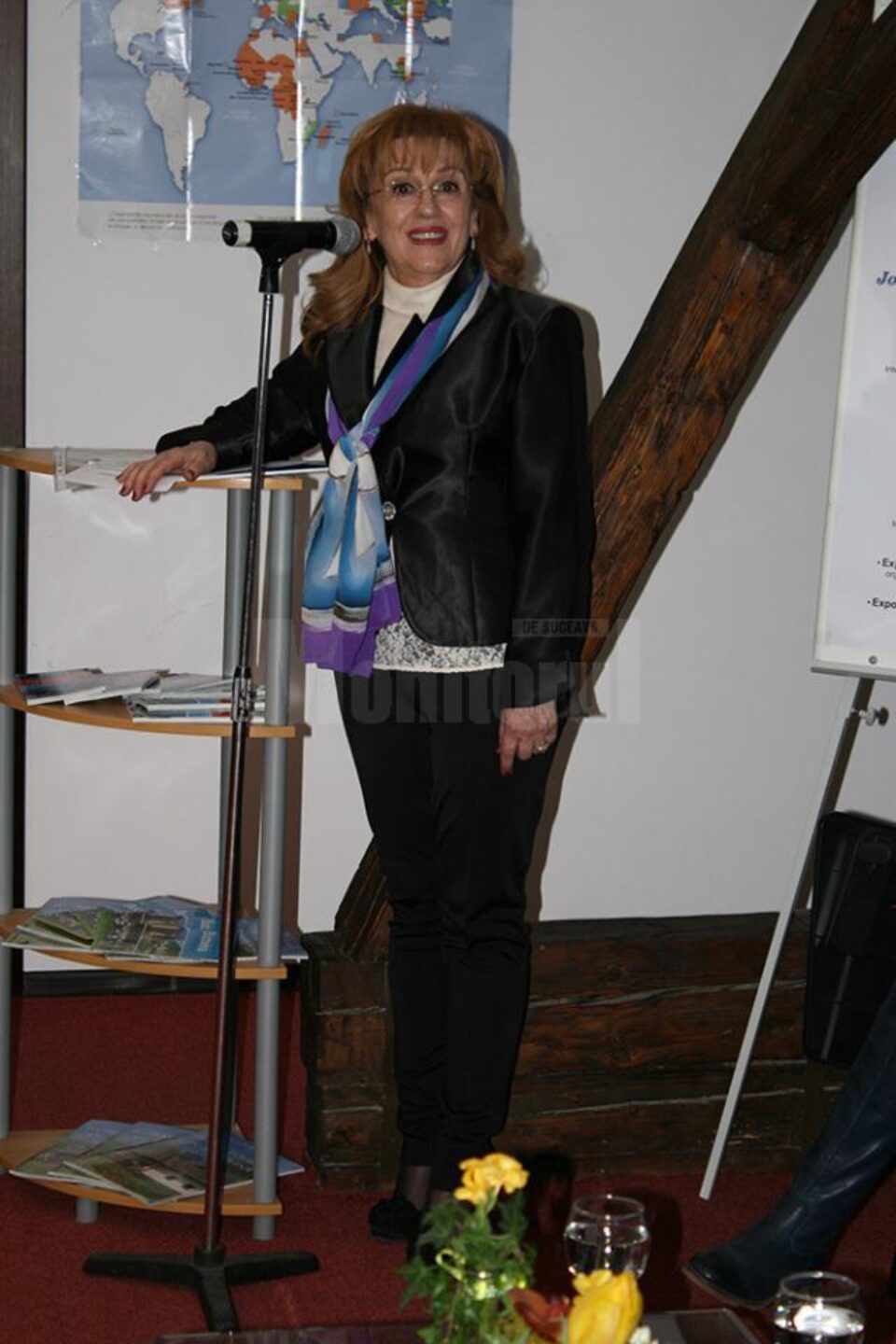 Prof. univ. DHC Sanda-Maria ARDELEANU