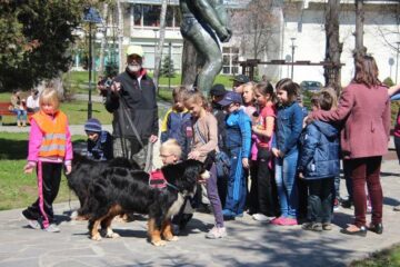 Demonstrații cu Ciobănești de Berna pregătiți pentru misiuni de salvare, pentru elevii Școlii Nr. 4 Suceava