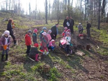 Micuții au udat puieții, au acoperit gropile, au tasat solul și au ales copăcei de care vor avea grijă