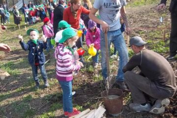 Micuții au udat puieții, au acoperit gropile, au tasat solul și au ales copăcei de care vor avea grijă