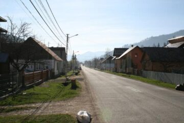 Comuna Fundu Moldovei are serviciu de salubritate și coșuri de gunoi la marginea drumului județean