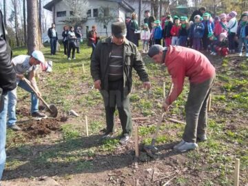Micuții au udat puieții, au acoperit gropile, au tasat solul și au ales copăcei de care vor avea grijă