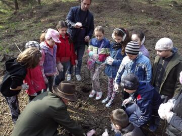 Elevii au învățat cum se plantează arborii și care este rolul pădurii