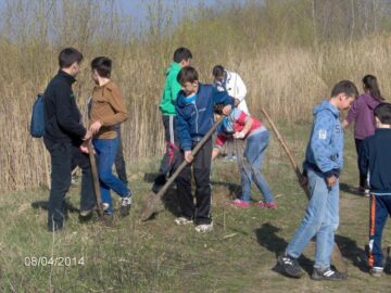 Elevii au derulat activități cu caracter ecologic în lunca râului Suceava