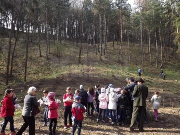 Elevii au învățat cum se plantează arborii și care este rolul pădurii