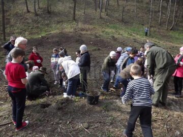 Elevii au învățat cum se plantează arborii și care este rolul pădurii