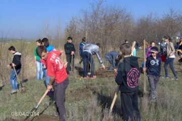Elevii au derulat activități cu caracter ecologic în lunca râului Suceava