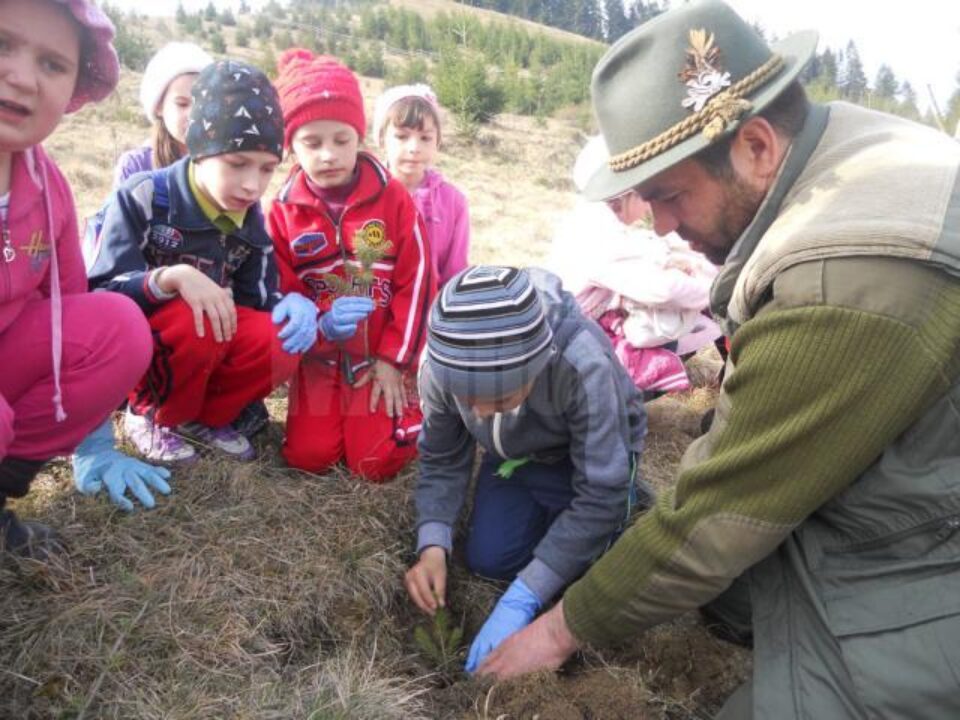 Elevii Școlii „Ștefan cel Mare” Putna au plantat sute de puieți de molid