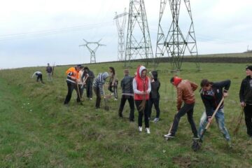 În Fălticeni vor fi plantați peste 6.500 de arbori
