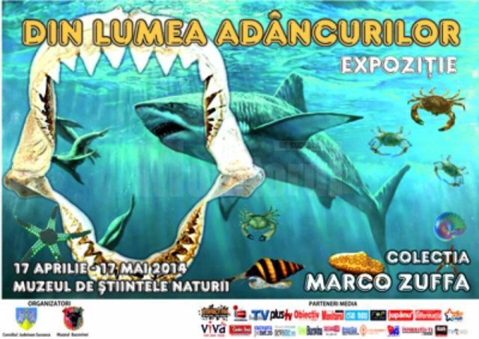 Expoziția „Din lumea adâncurilor”