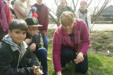 Acțiunea de plantare de puieți a fost apreciată de elevi