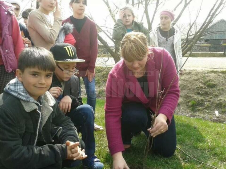 Acțiunea de plantare de puieți a fost apreciată de elevi
